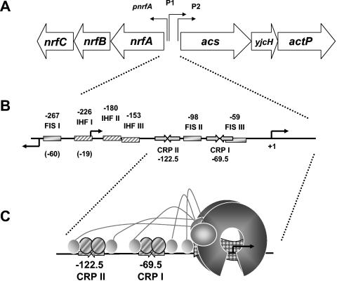 FIG. 11.