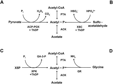 FIG. 9.