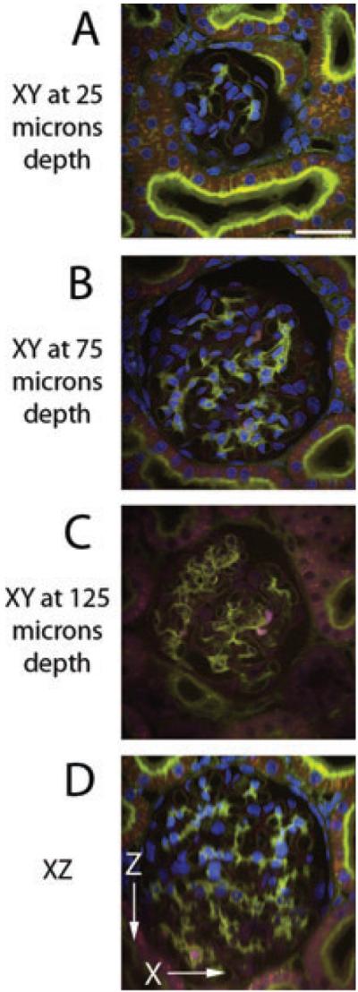 Fig. 6