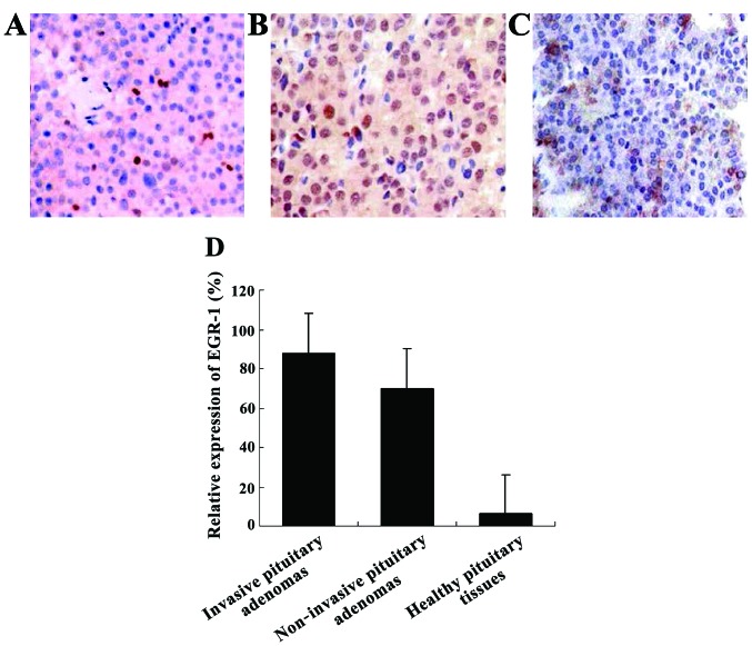 Figure 1.