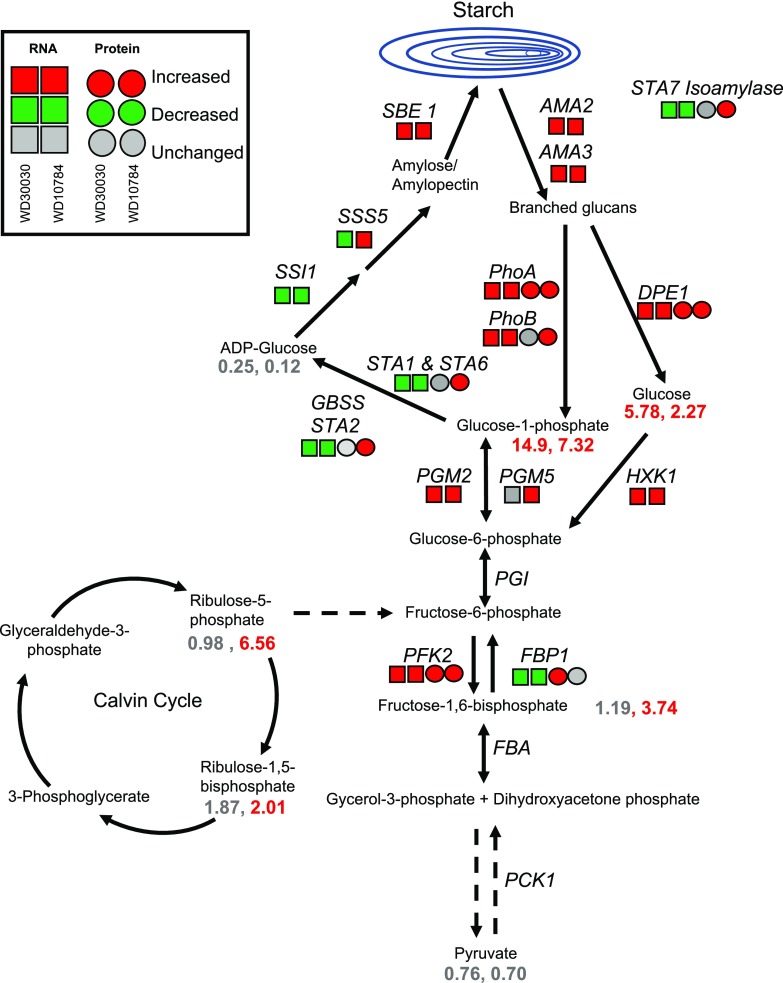 Figure 4.