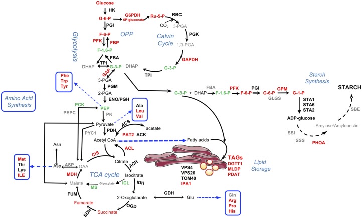 Figure 9.