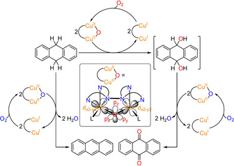 Scheme 3