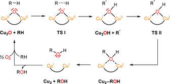 Scheme 4