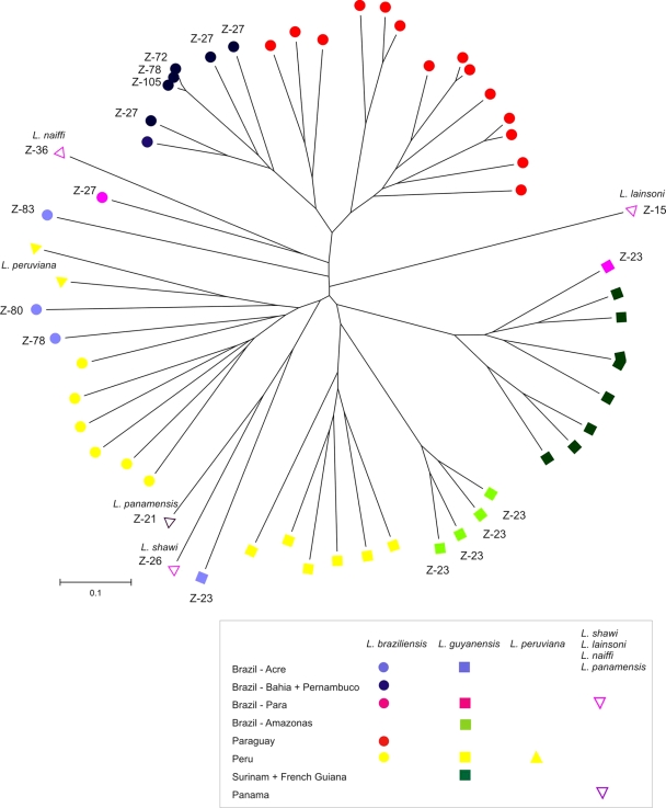 FIG. 2.