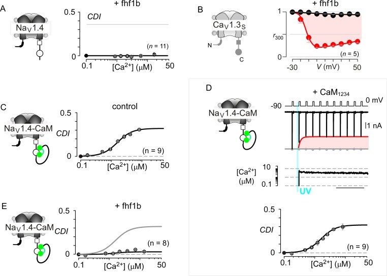 Figure 7—figure supplement 1.