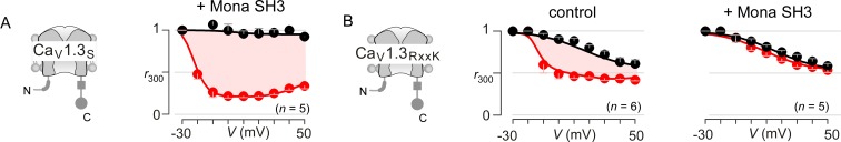 Figure 8—figure supplement 1.