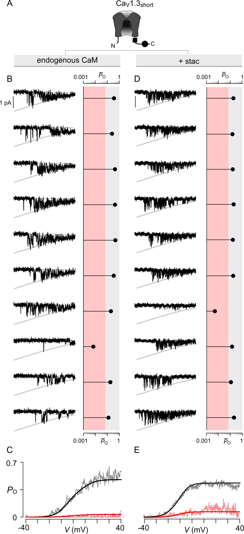 Figure 4—figure supplement 1.