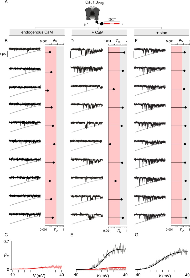 Figure 4—figure supplement 3.