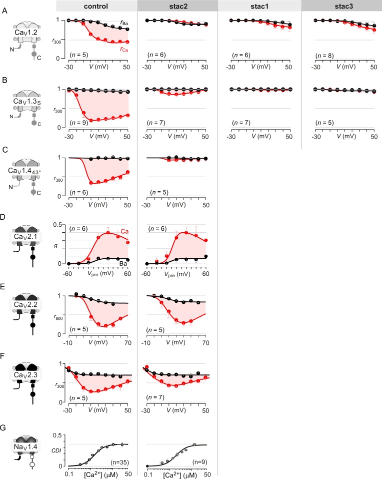 Figure 1—figure supplement 1.