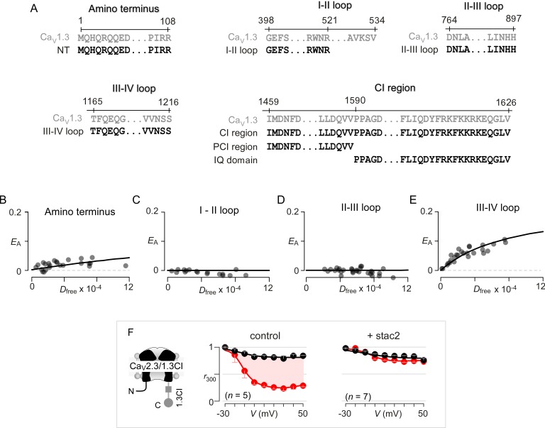 Figure 2—figure supplement 1.