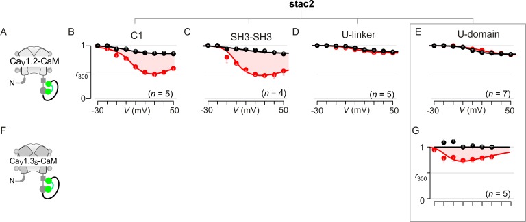 Figure 5—figure supplement 1.