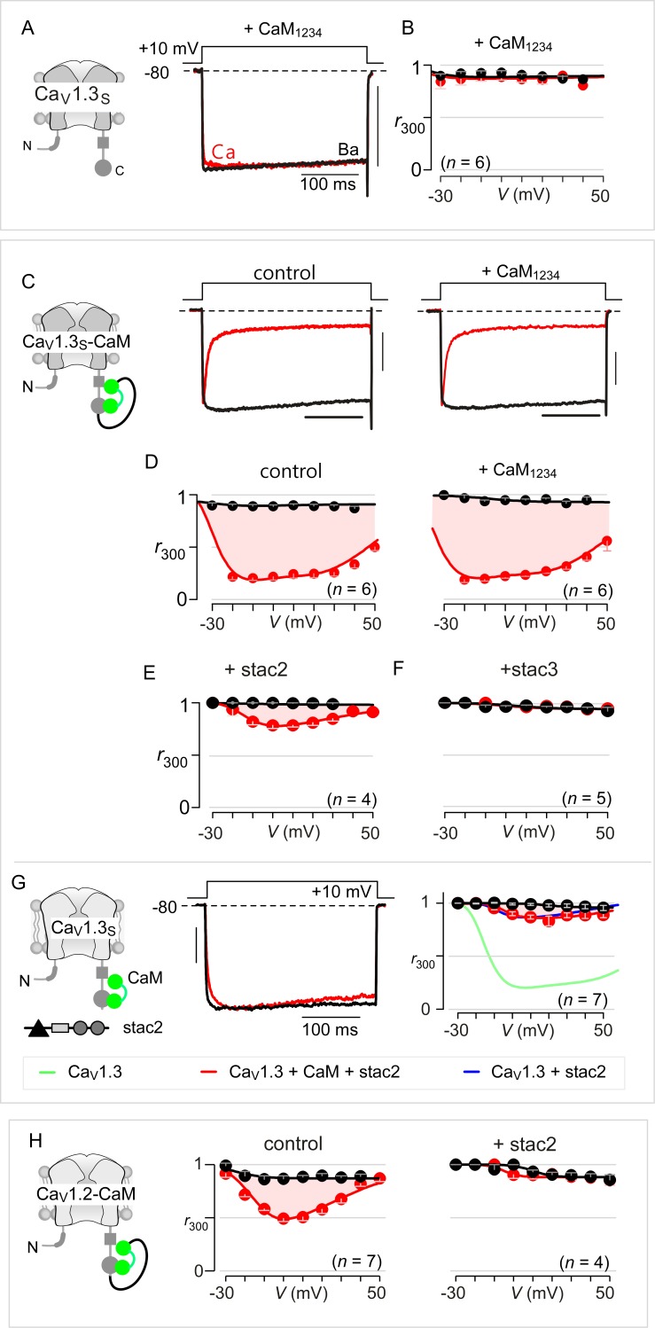 Figure 3—figure supplement 1.