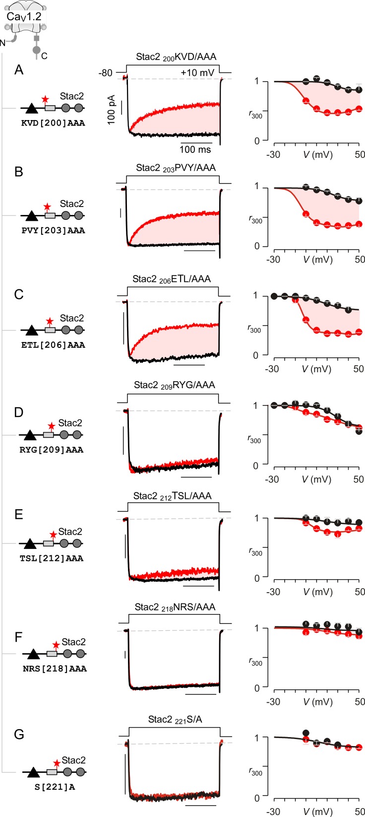 Figure 5—figure supplement 2.