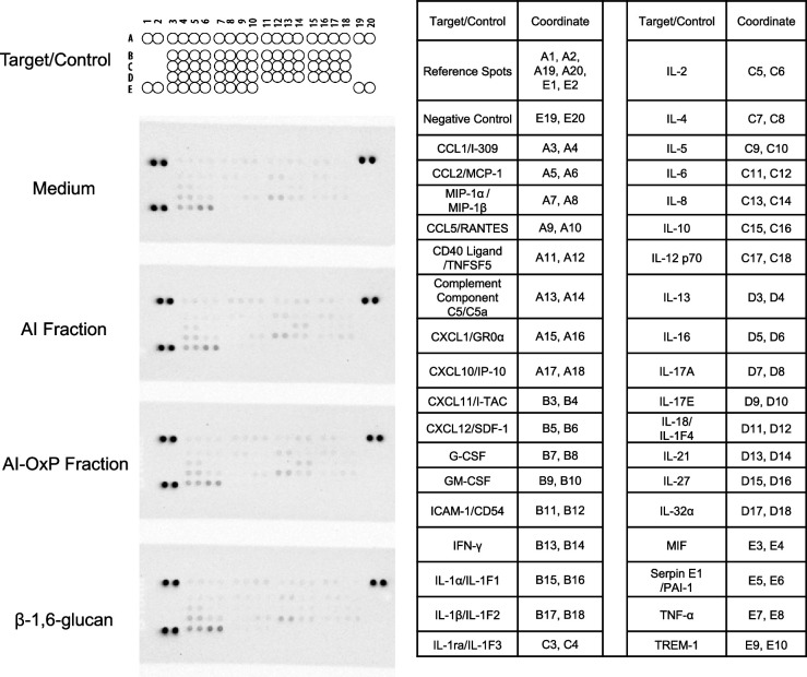 Figure 6—figure supplement 3.