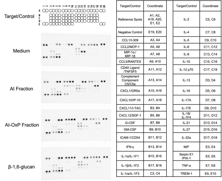 Figure 6—figure supplement 2.