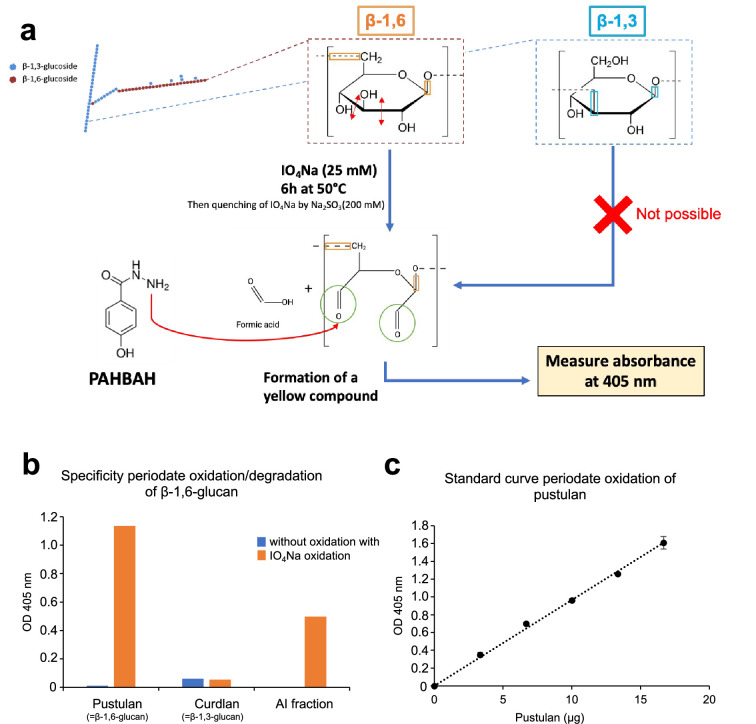 Figure 1—figure supplement 3.