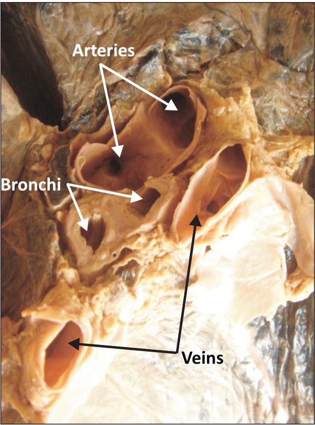 Fig. 9