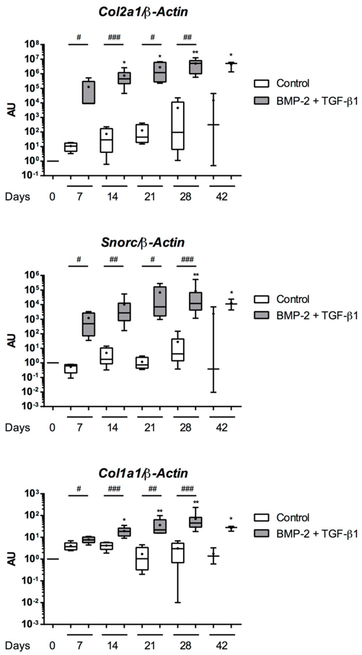 Figure 14