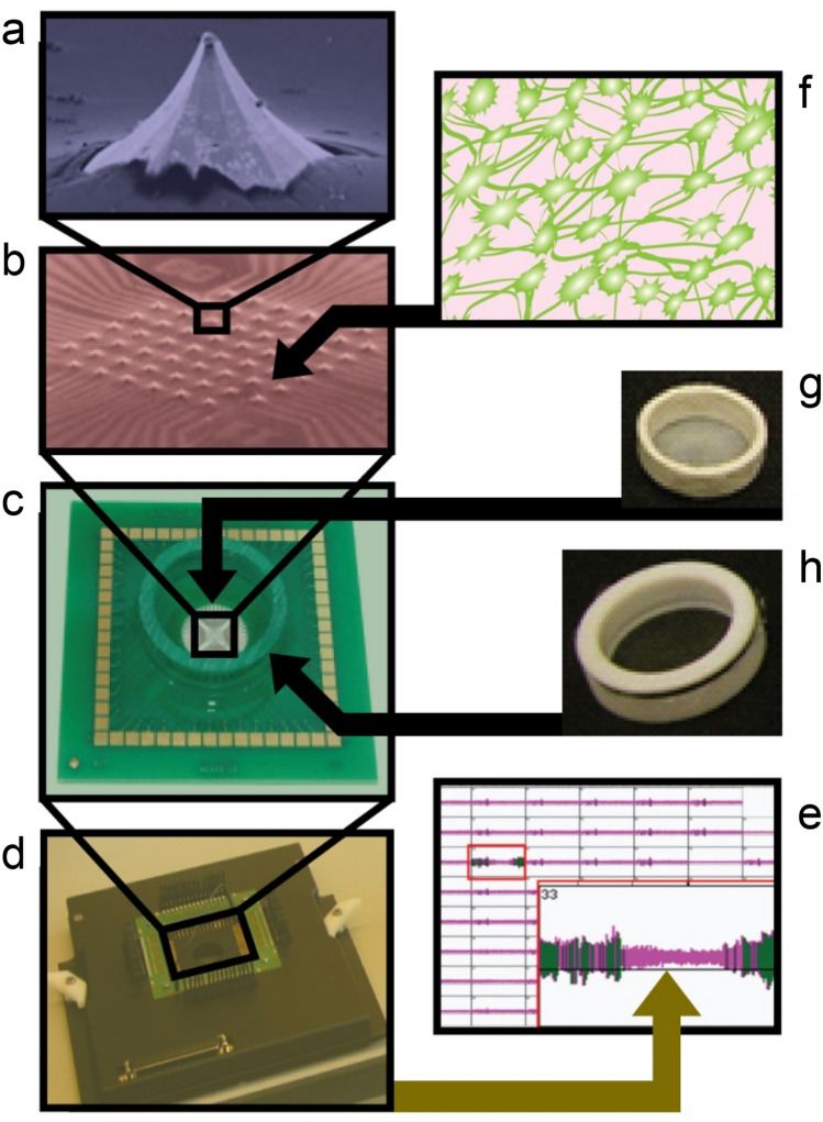 Fig. 1