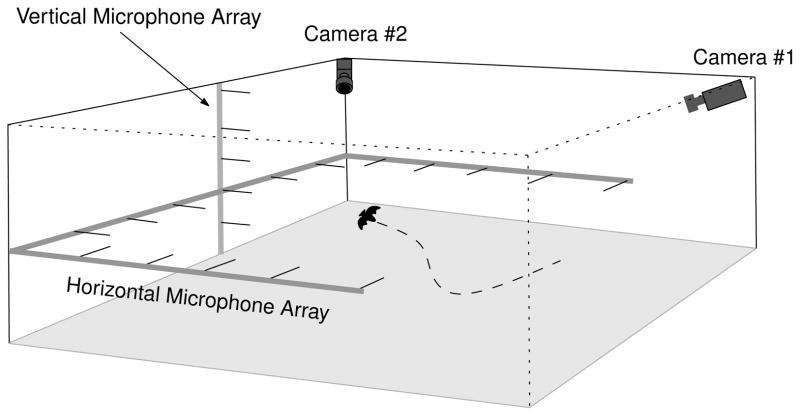 FIG. 1