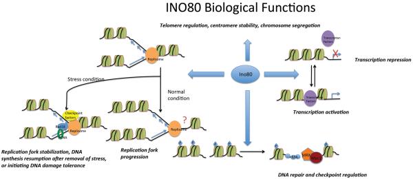 Figure 1–4