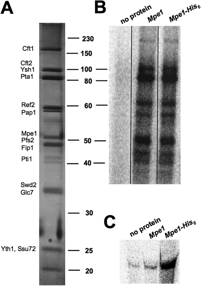 FIG 5