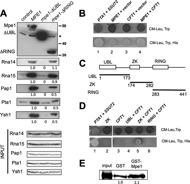 FIG 3