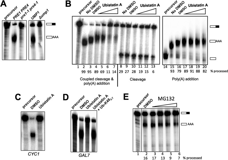 FIG 6