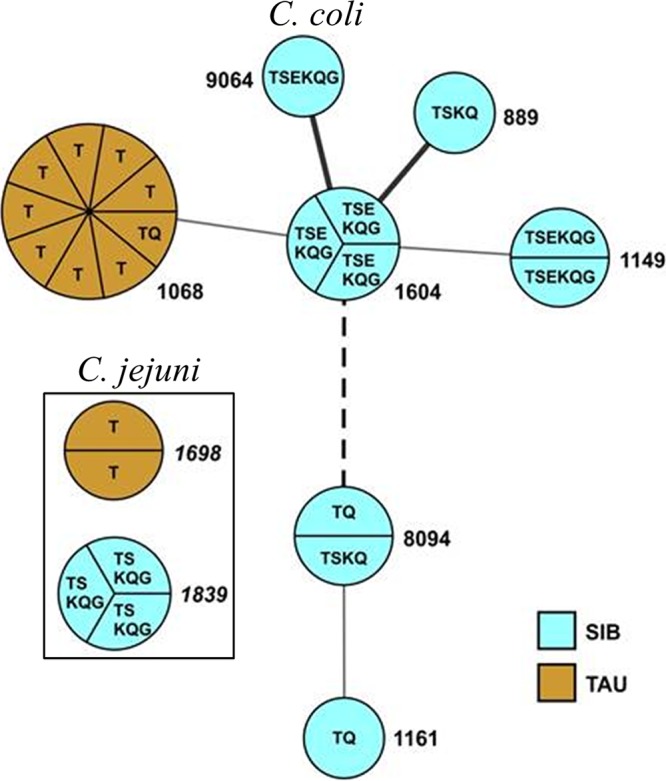 FIG 2