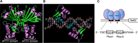 FIG 4