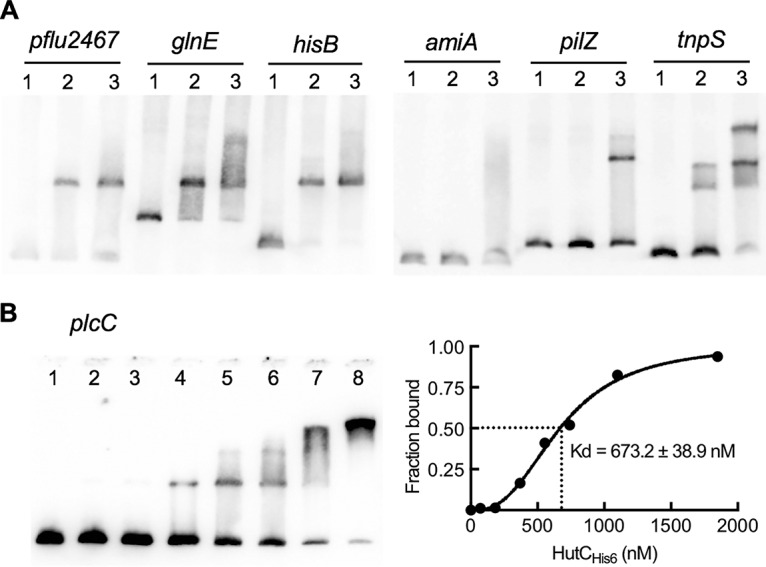 FIG 6