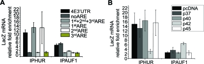 FIG. 4.