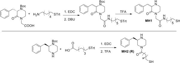 Scheme 1