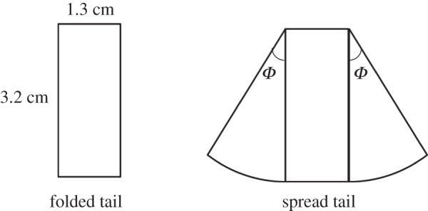 Figure 3.