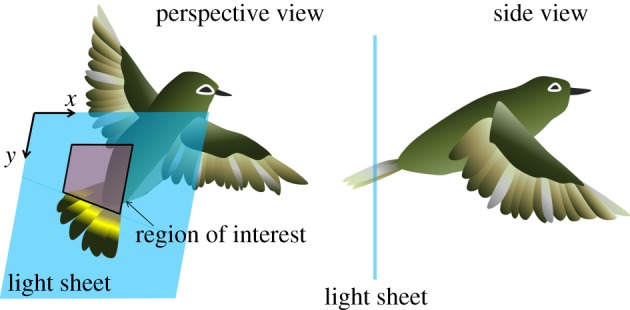 Figure 2.