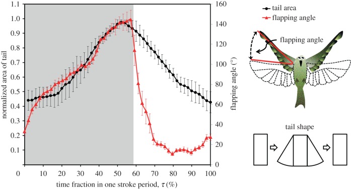 Figure 6.