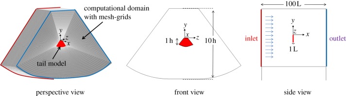 Figure 4.