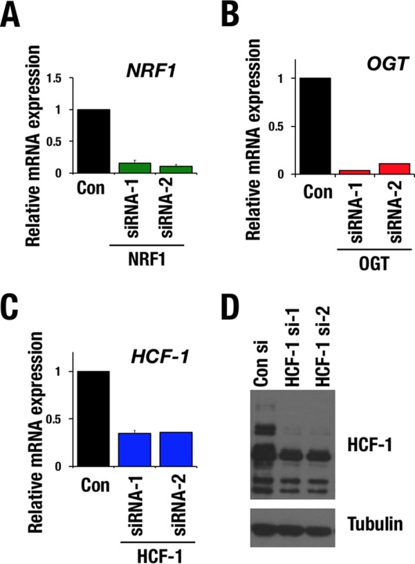 FIG 2