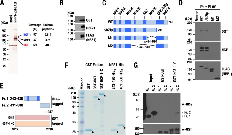 FIG 1