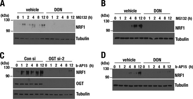 FIG 6