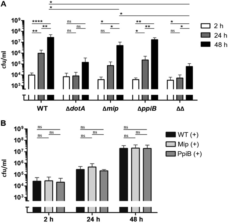 FIG 4