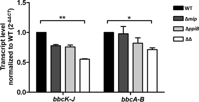 FIG 2