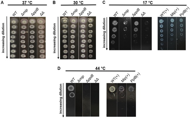 FIG 3