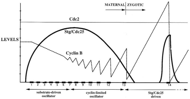 Figure 7.