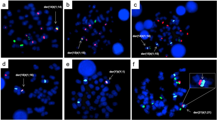 FIGURE 1