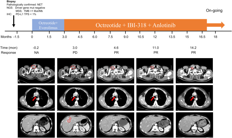 Figure 1