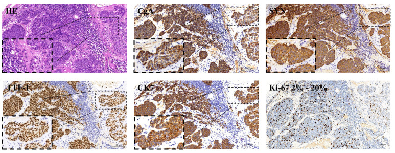 Figure 2