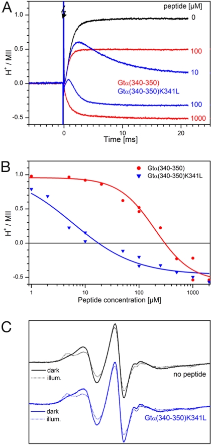 Fig. 6.