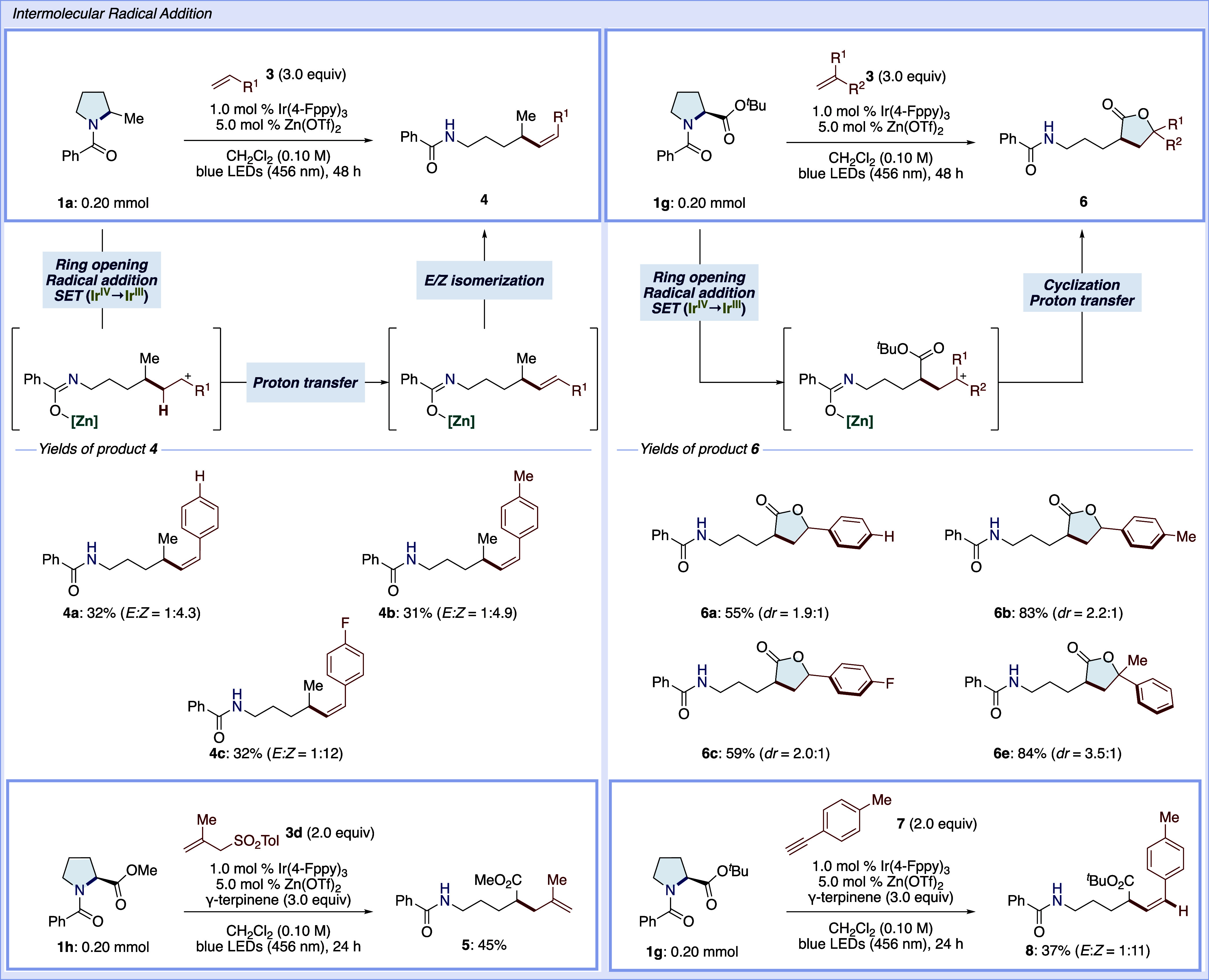 Scheme 2